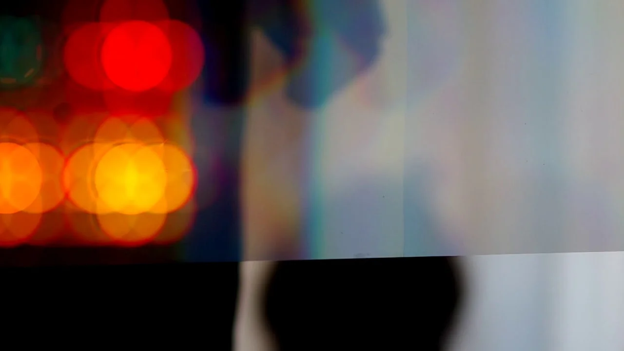 Helado Negro - Please Won't Please